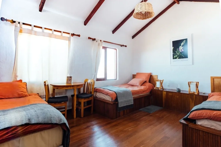 Standard Twin room with view