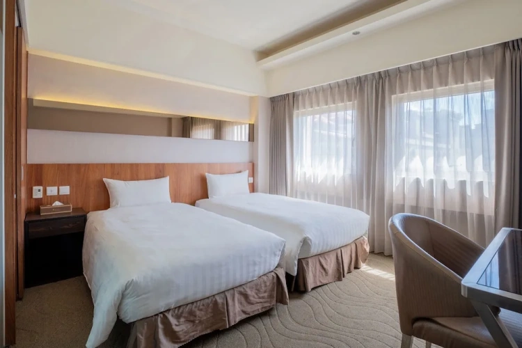 Deluxe Twin room