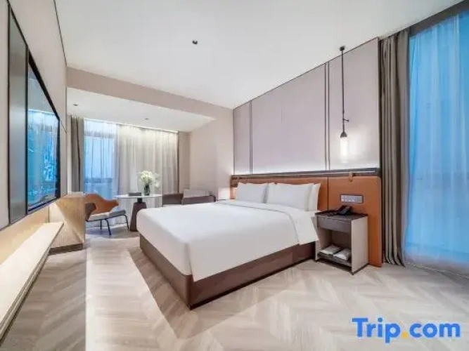 Executive Double room