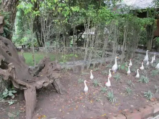Mam's Village
