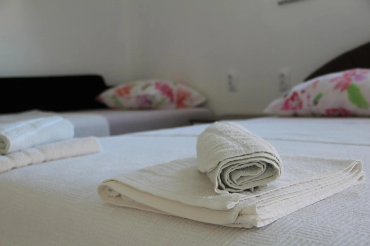 Apartment Slobo 1
