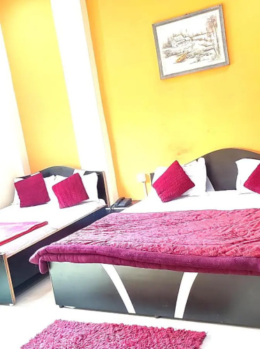 New Ashiyana Palace