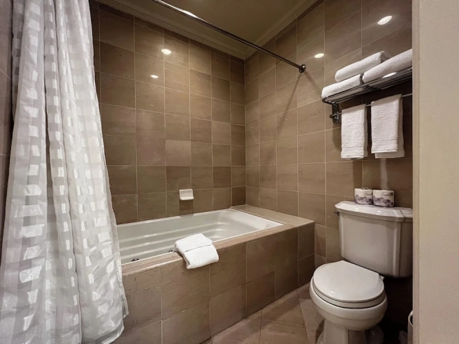 Deluxe Double Suite