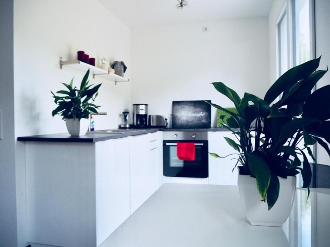 1 Bedroom Cottage