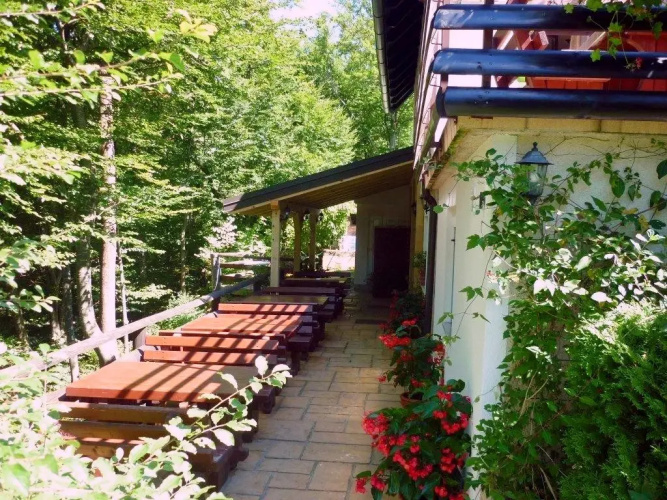 House Sankovic