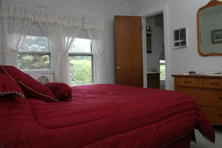 Standard Double room with lake view