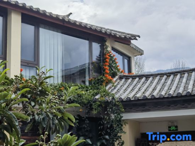 Shaxi North Return Homestay