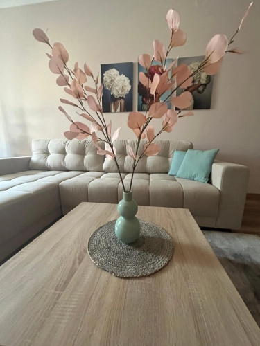 Apartman Teodora