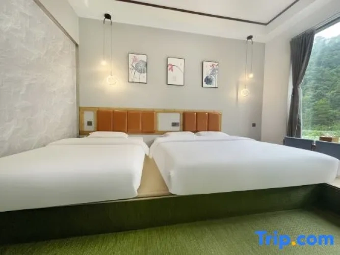 Standard Twin room with mountain view