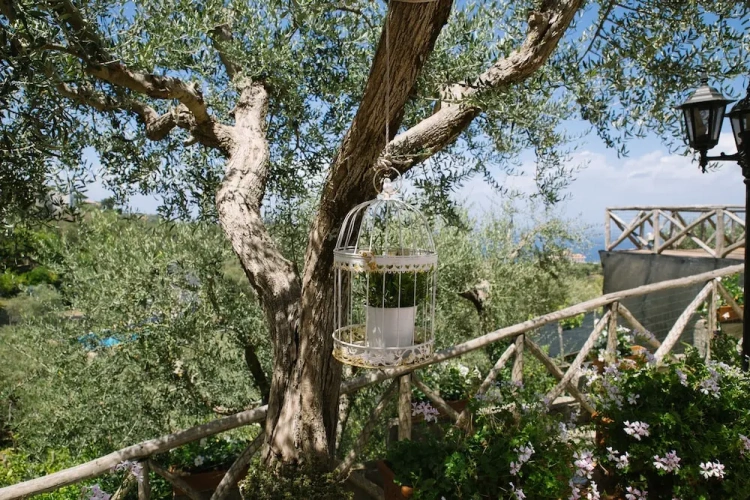 Family Studio
