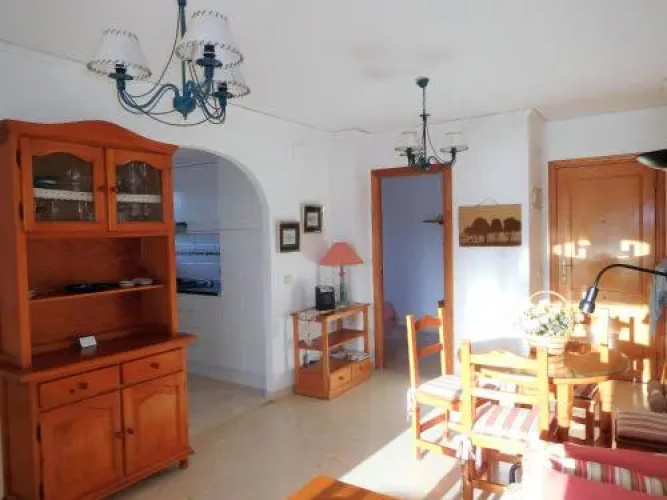Sunny Beach Apartment