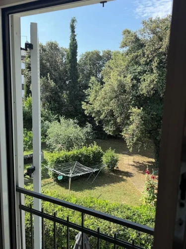 Comfort Apartment