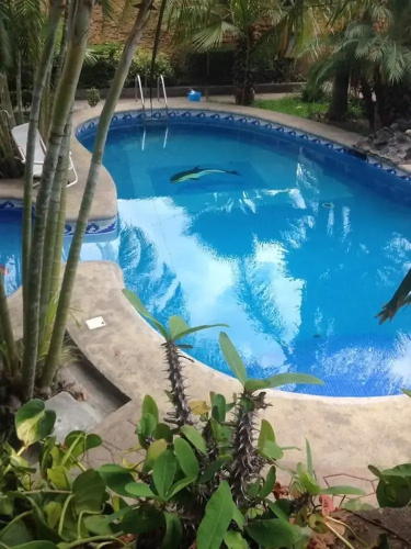 Hotel Casa Corita