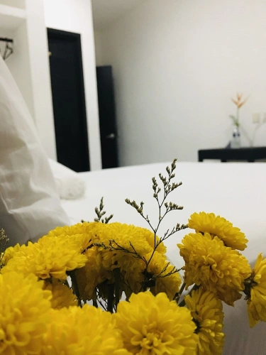 1 Bedroom Bed in Dorm with balcony