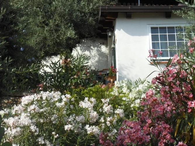 Family Bungalow