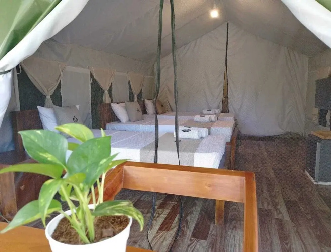 Radiance Ella Urban Camping