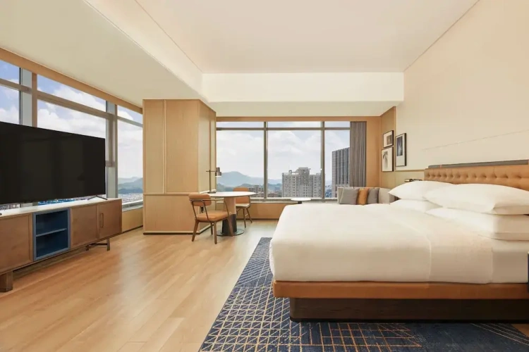 Deluxe Double Suite with city view
