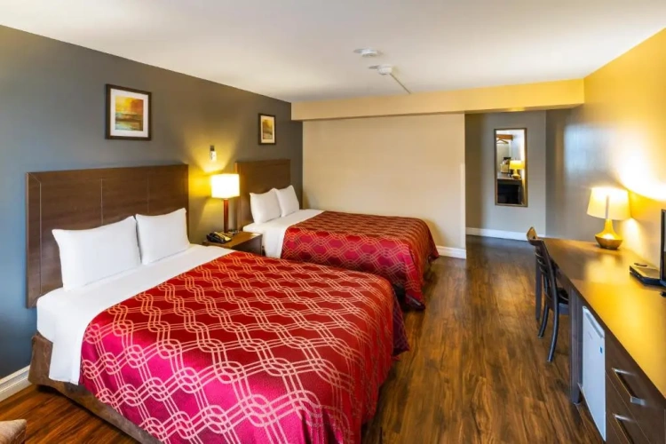 Standard Quadruple Basement room