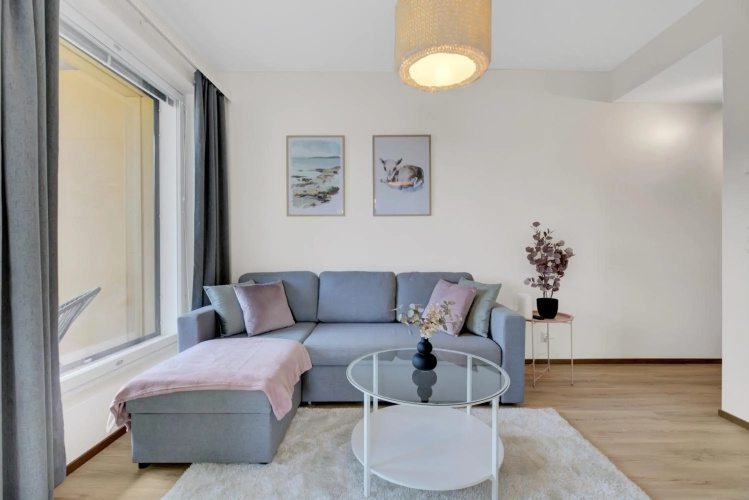 Apartment Scandinavia III
