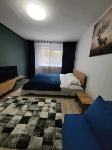 Casa Rusu