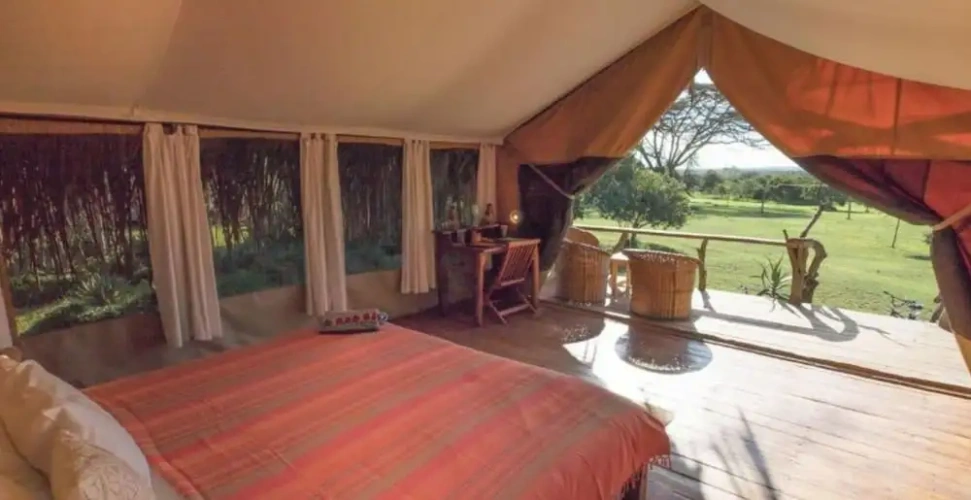 Tent