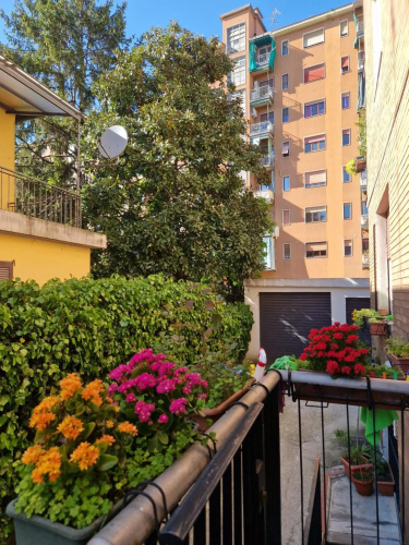 Studio Luna Apartment
