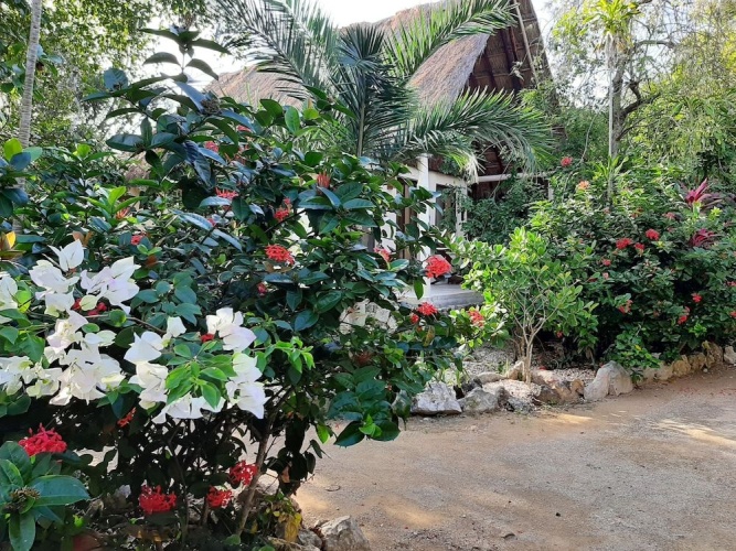 Hotel Roc Luxe Tulum - Adults Only photo 21