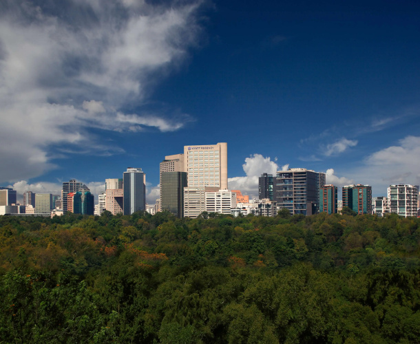 Hyatt Regency Mexico City photo 27