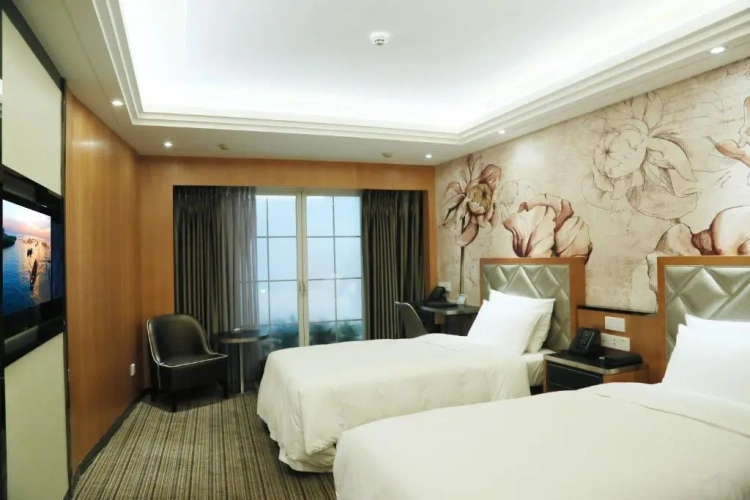 Budget Twin room