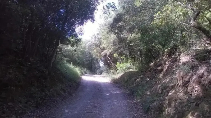 Poggio Al Sole