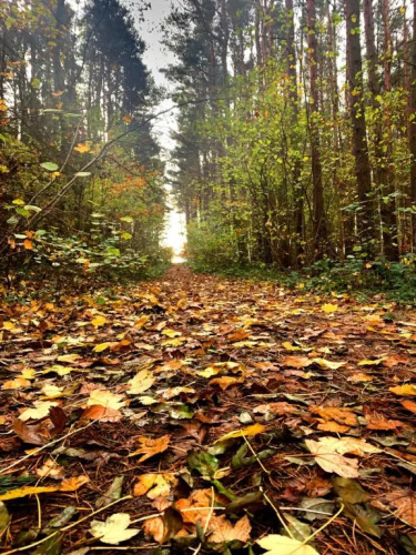 Apartament Kalimera