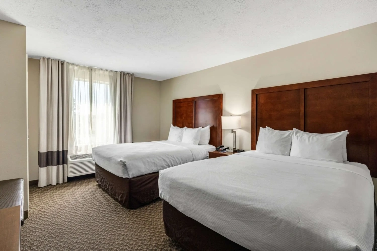 Quadruple Suite