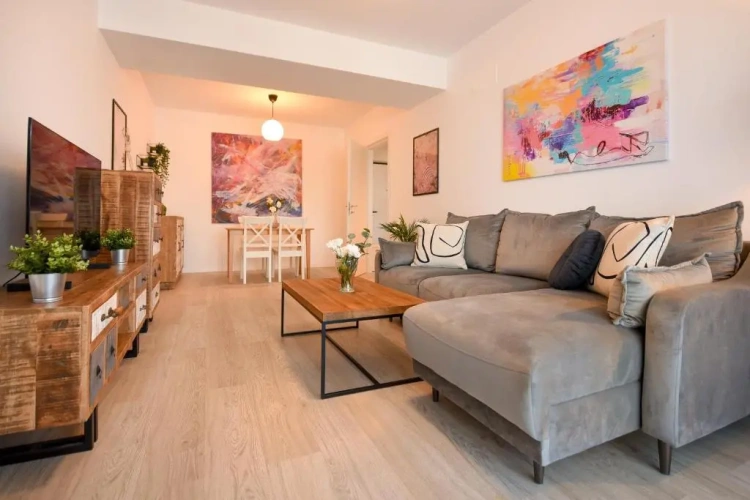 1 Bedroom Apartment