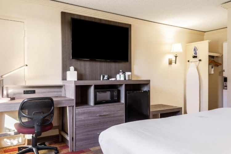 Double Family Suite