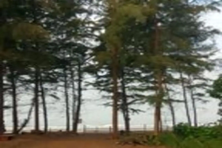 Suma beach resort