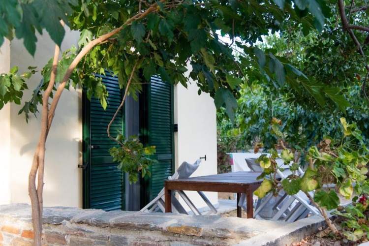 1 Bedroom Apartment with balcony