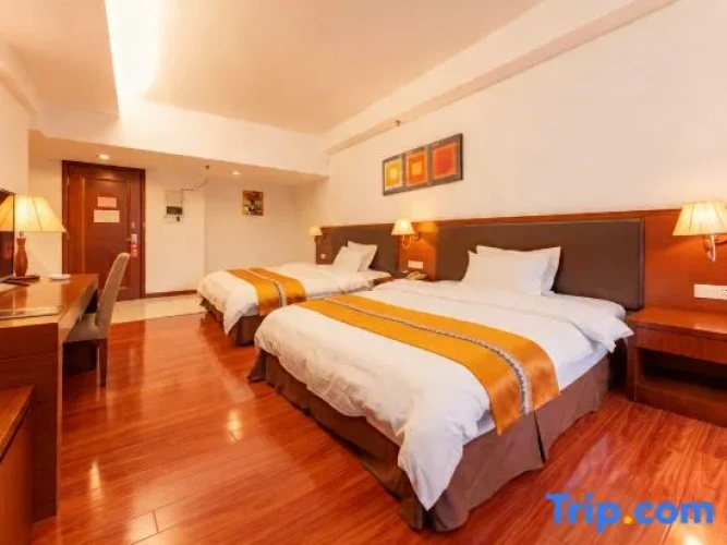 Deluxe Twin room with balcony and with city view