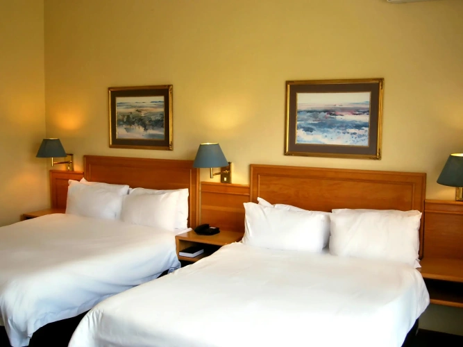 Deluxe Single room