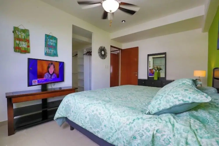 Deluxe Apartment