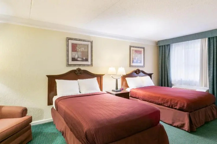 Standard Double room