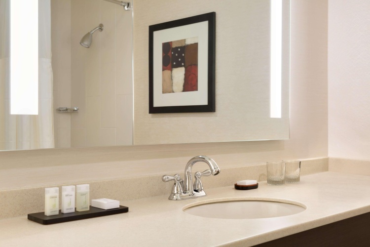 Embassy Suites by Hilton Chicago North Shore Deerfield photo 9