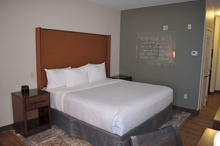 1 Bedroom Single Suite