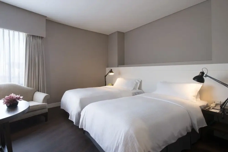 Deluxe Twin room