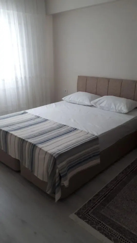 Geyikli günlük daire3