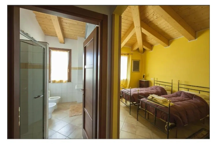 Standard Double room with garden view