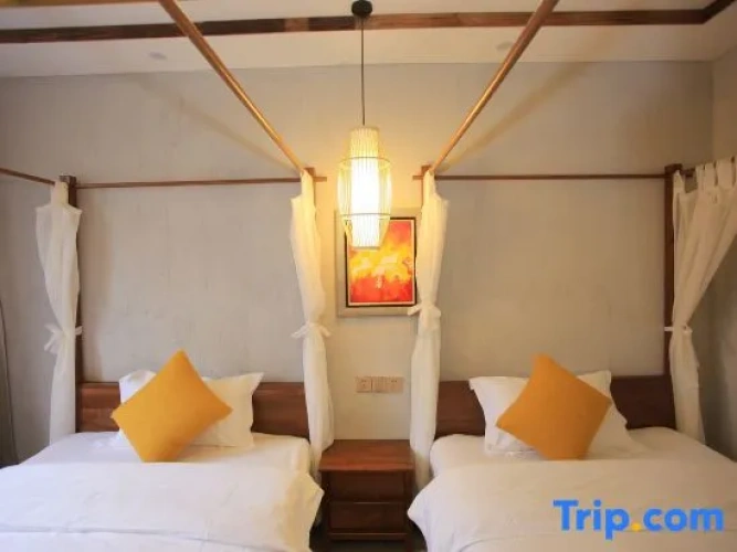 Standard Double room with street view