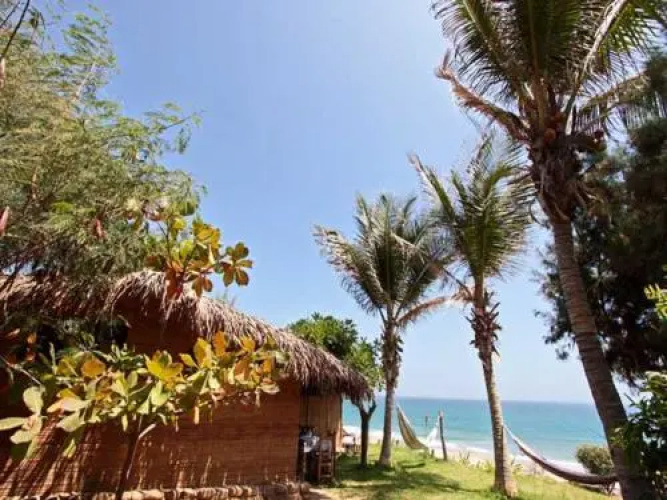 Las Tortugas