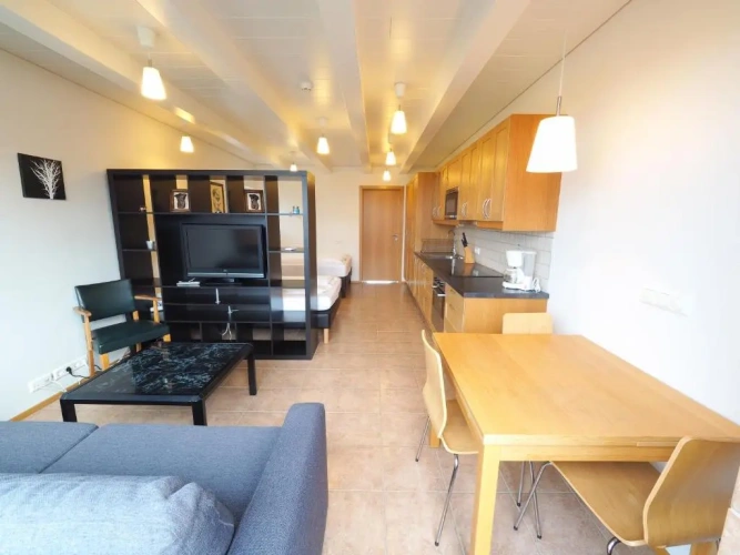 Deluxe Family room