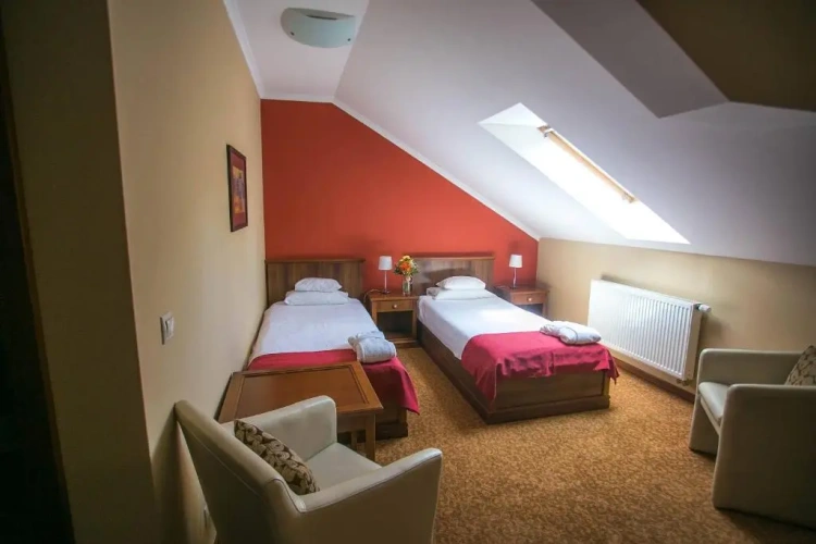 Standard Twin Attic room