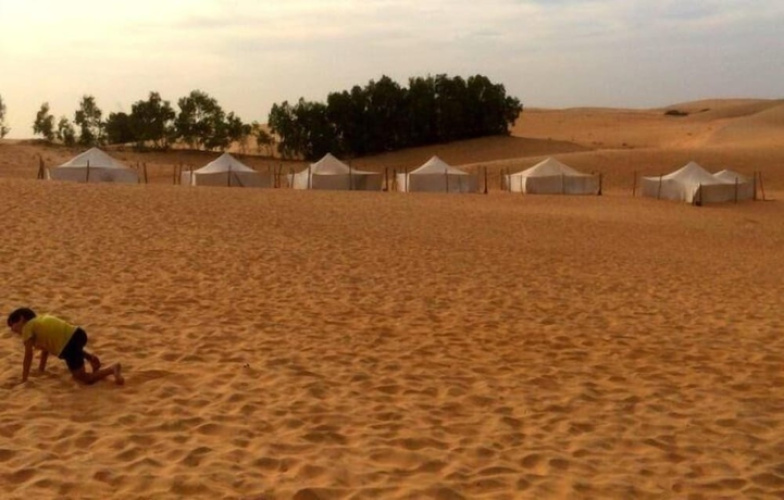 Oasis Du Désert